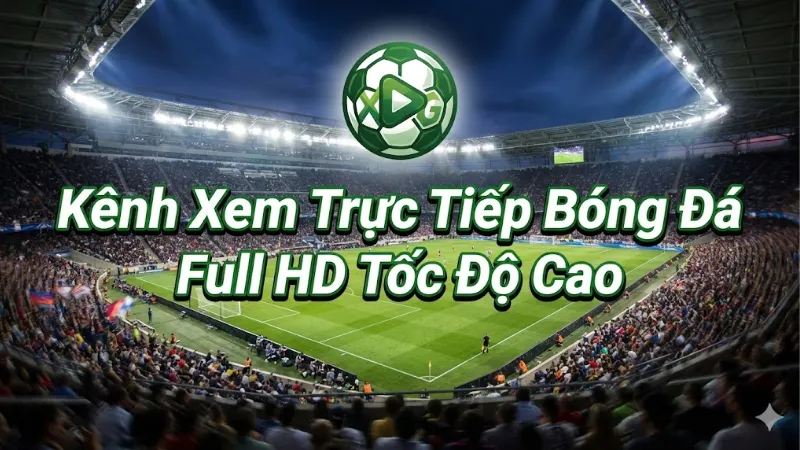 Tổng quan về nền tảng xem trực tuyến bóng đá XoilacTv